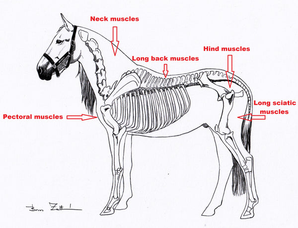 Individualisierte Rehabilitation